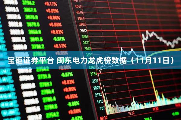 宝钜证券平台 闽东电力龙虎榜数据（11月11日）