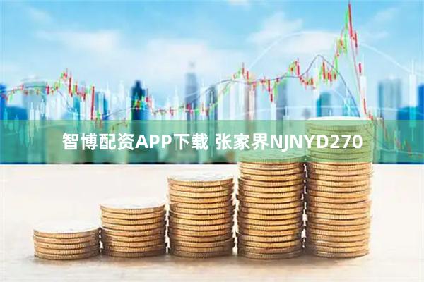 智博配资APP下载 张家界NJNYD270