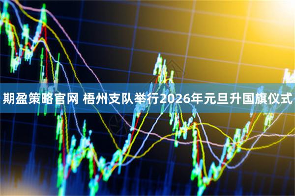 期盈策略官网 梧州支队举行2026年元旦升国旗仪式