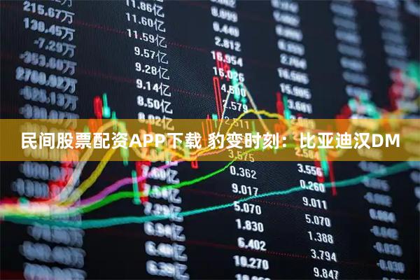 民间股票配资APP下载 豹变时刻：比亚迪汉DM