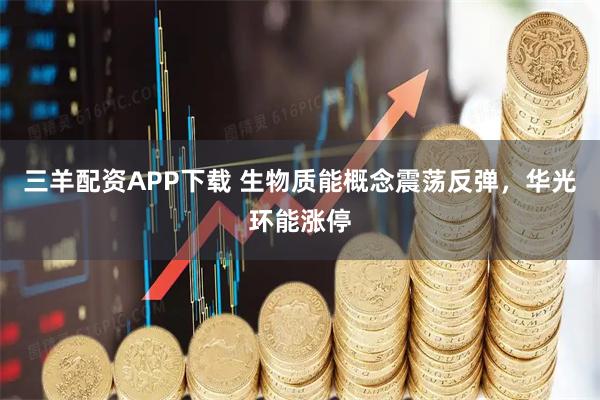 三羊配资APP下载 生物质能概念震荡反弹，华光环能涨停