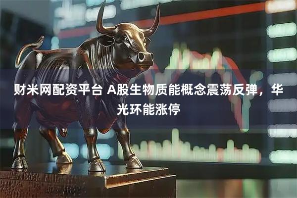财米网配资平台 A股生物质能概念震荡反弹，华光环能涨停