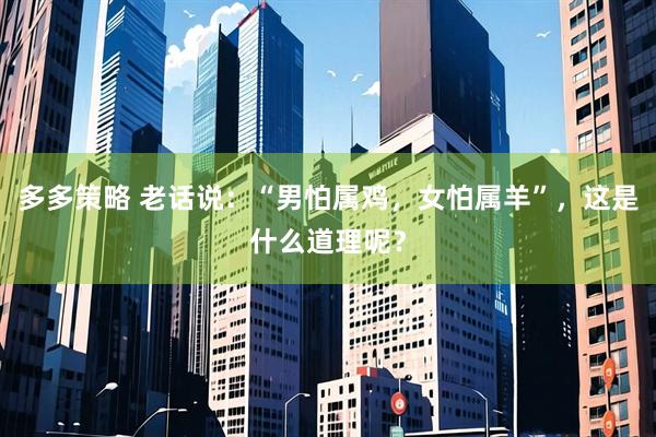 多多策略 老话说：“男怕属鸡，女怕属羊”，这是什么道理呢？